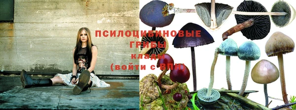 дурь Алзамай